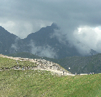 Krywań Krywań