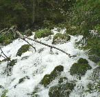 Wywierzysko Bystrej